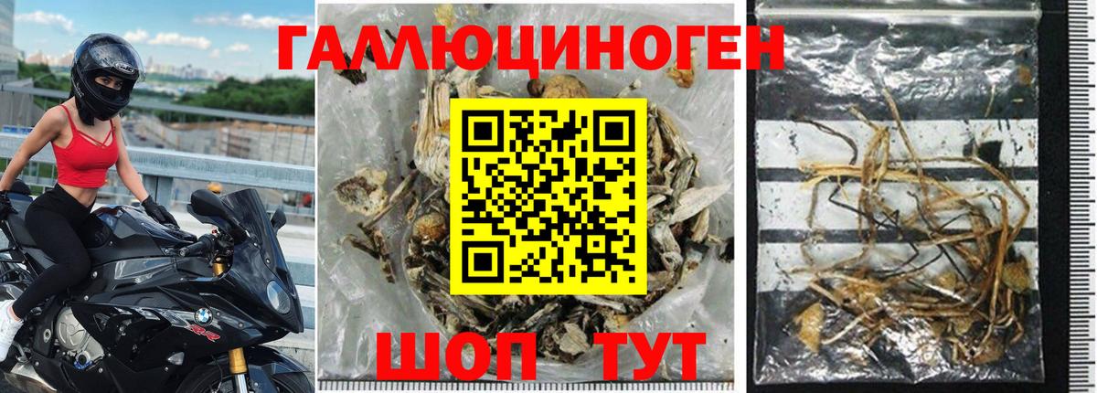 Галлюциногенные грибы MAGIC MUSHROOMS Кудрово