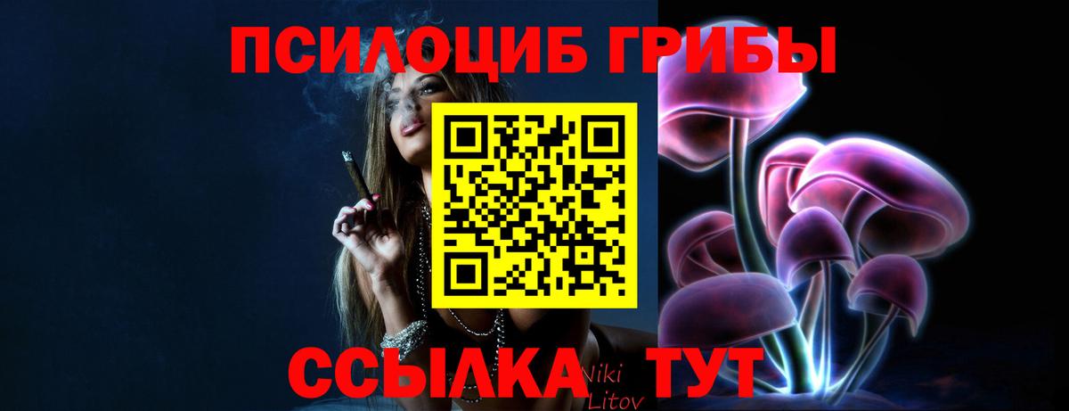 Кудрово  Галлюциногенные грибы GOLDEN TEACHER  Вход с VPN 